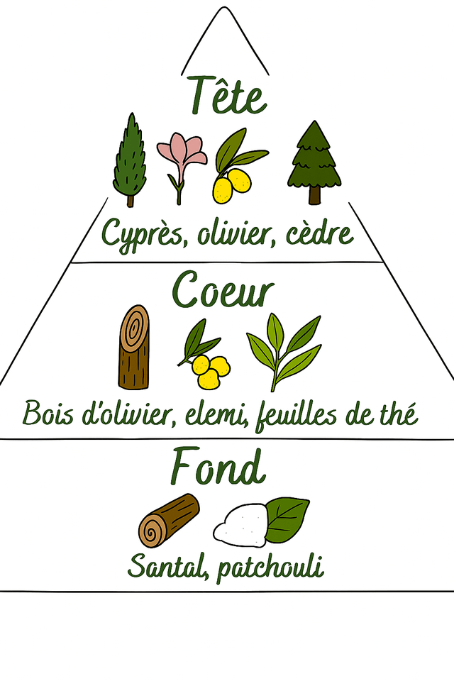 🍂 Bougie parfumée – Bois d’Olivier