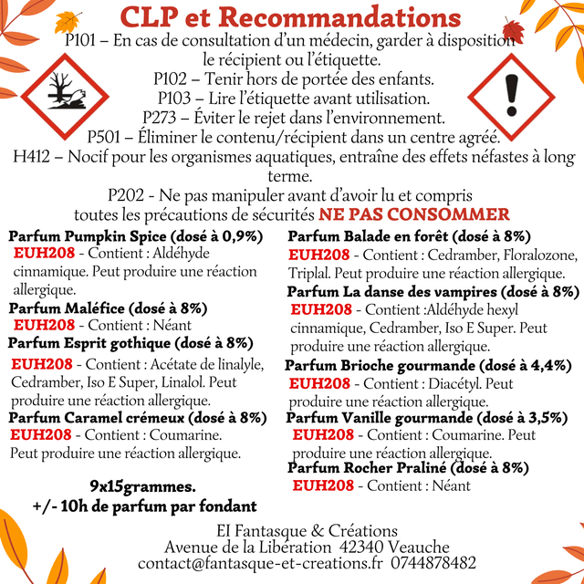 🍁 Coffret Fondants d’Automne – 9 parfums chaleureux