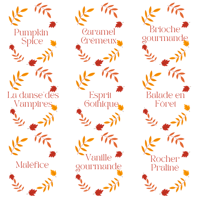 🍁 Coffret Fondants d’Automne – 9 parfums chaleureux