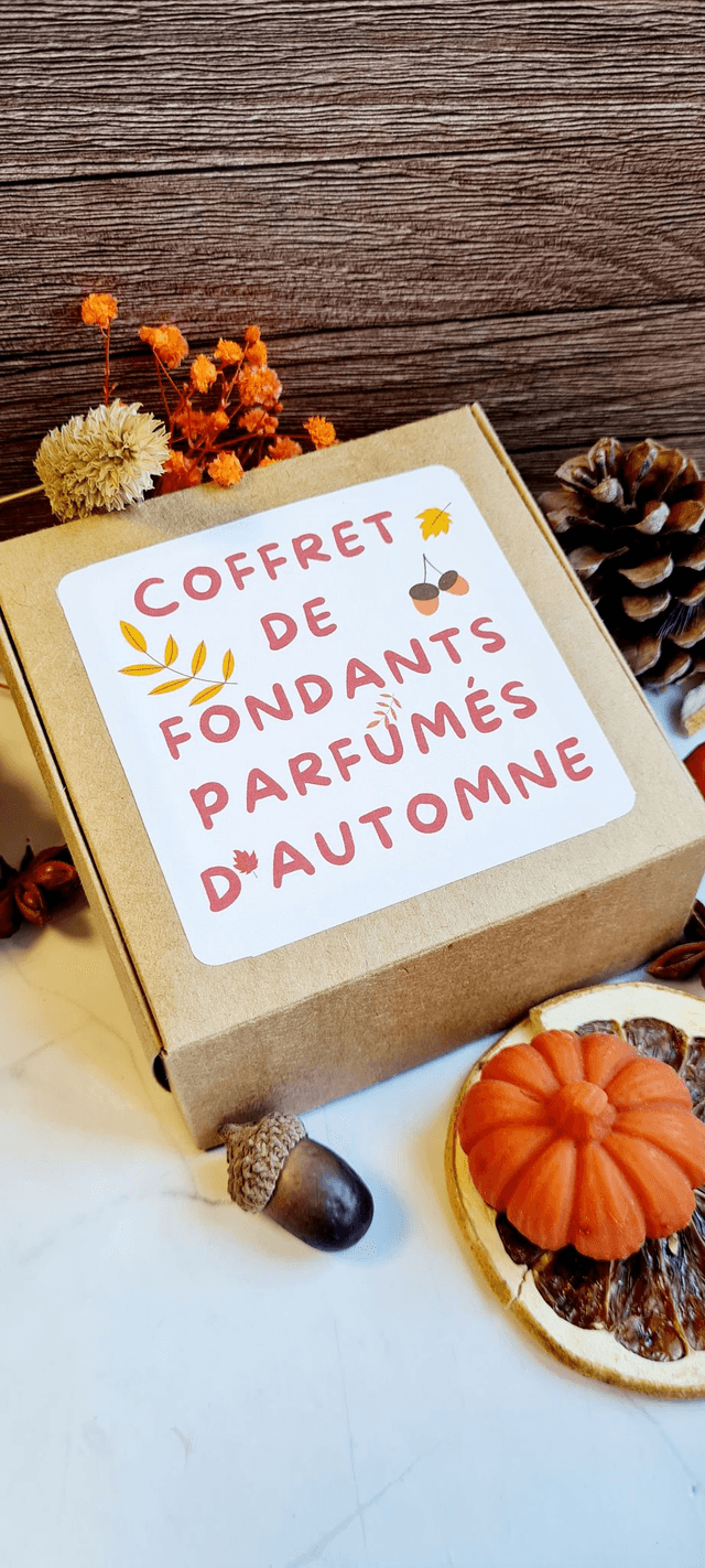 🍁 Coffret Fondants d’Automne – 9 parfums chaleureux