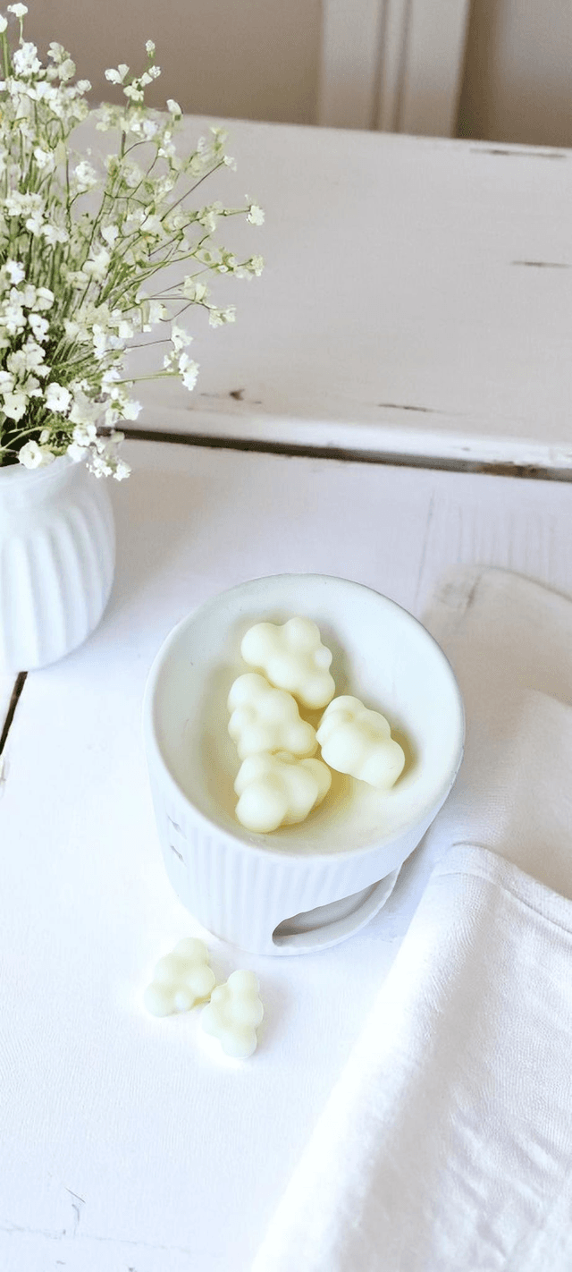 💨 Fondants parfumés – Linge frais